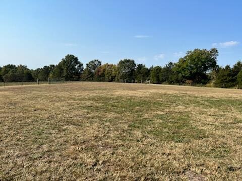 view of yard featuring a rural view