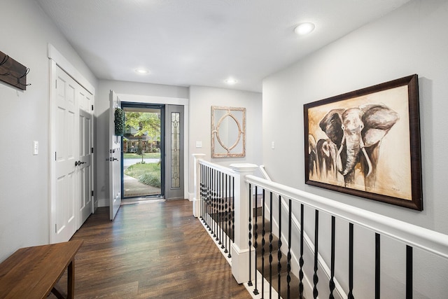 entryway featuring dark wood-type flooring