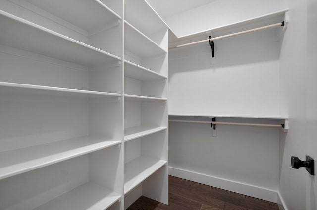 spacious closet with dark hardwood / wood-style floors