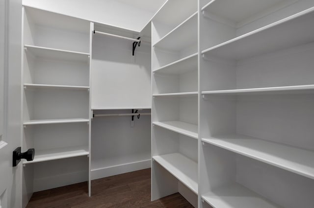 spacious closet featuring dark hardwood / wood-style flooring