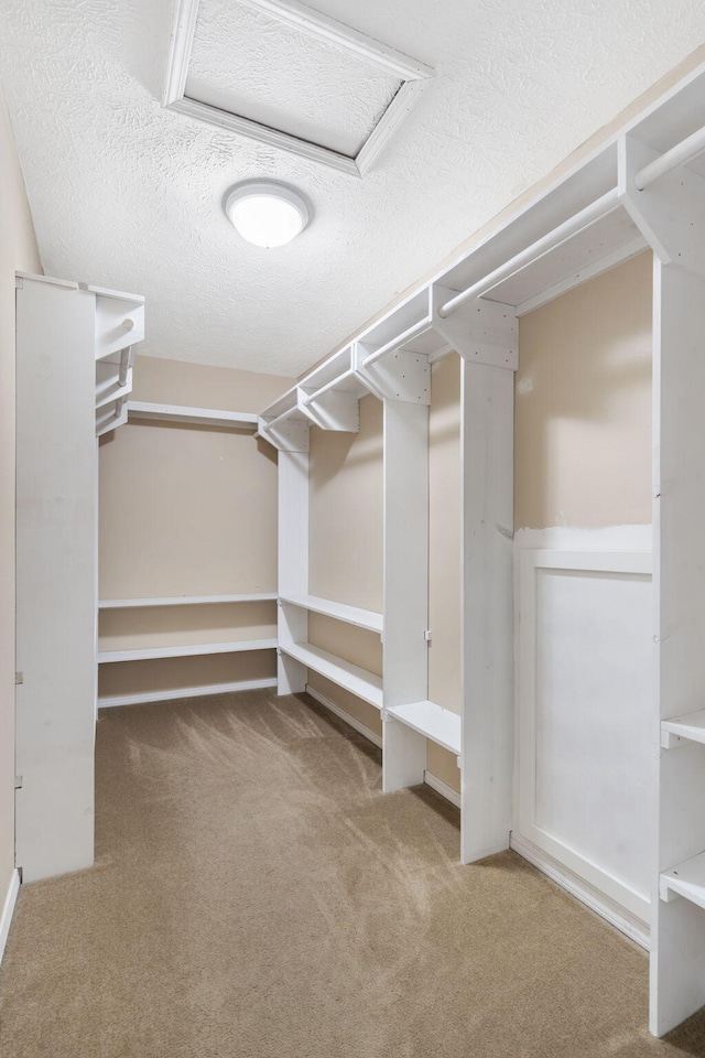 walk in closet featuring carpet floors