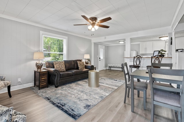 living room with ceiling fan, ornamental molding, and light wood-type flooring