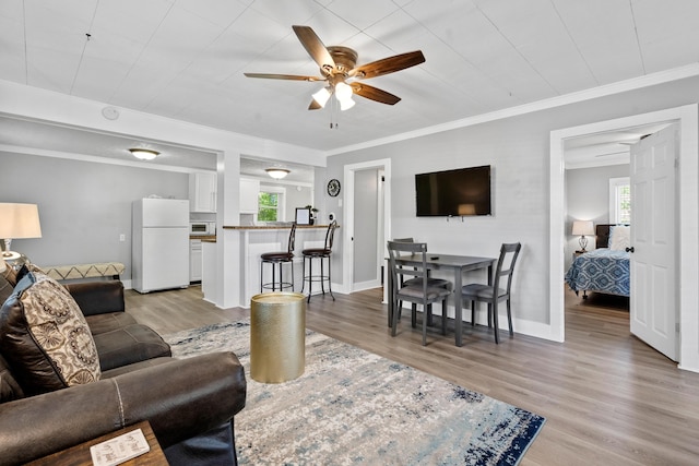 living room featuring ceiling fan, ornamental molding, and light hardwood / wood-style flooring