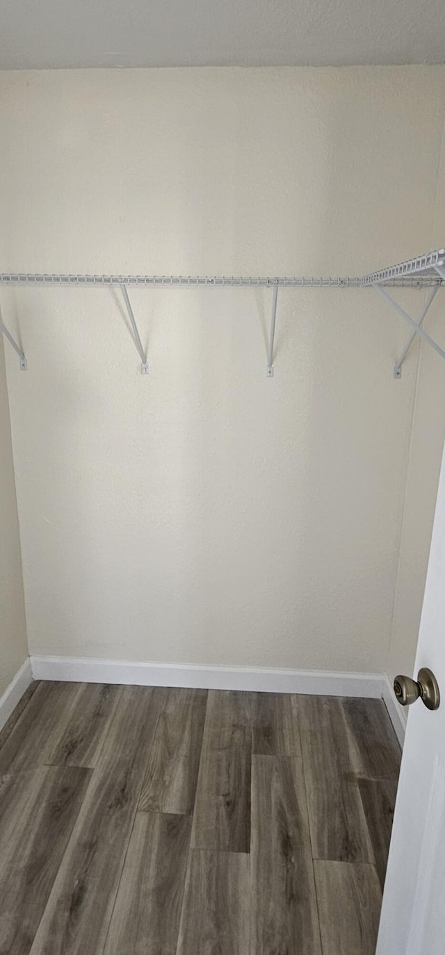 spacious closet featuring hardwood / wood-style floors