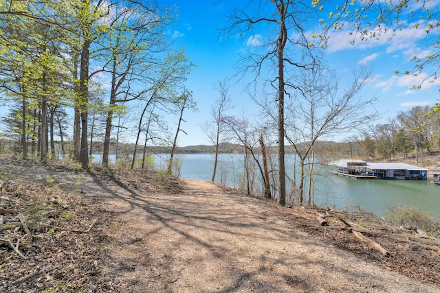 property view of water with a boat dock