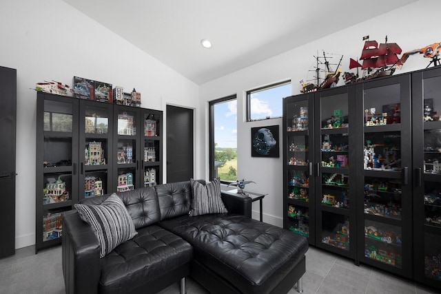 living room featuring lofted ceiling