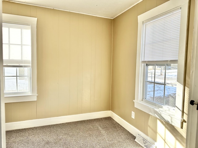 carpeted spare room with a wealth of natural light