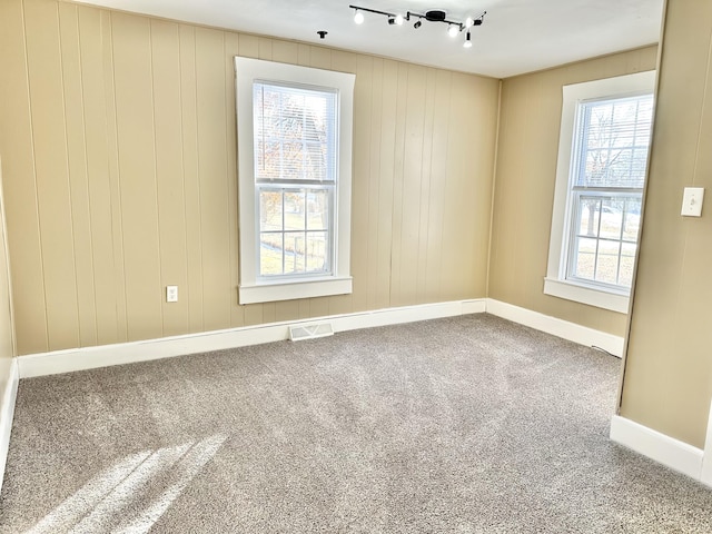 unfurnished room featuring wooden walls, carpet, a wealth of natural light, and rail lighting