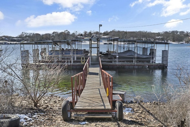 dock area with a water view