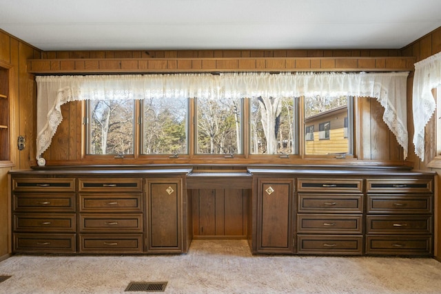 interior space with wood walls, light carpet, and plenty of natural light