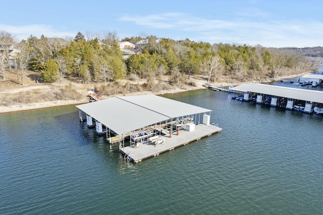 dock area with a water view