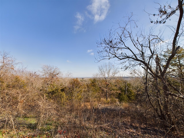 view of landscape featuring a rural view