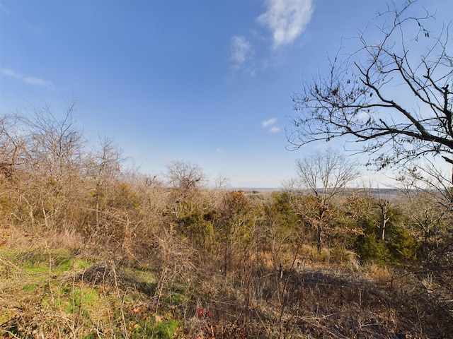 view of landscape featuring a rural view