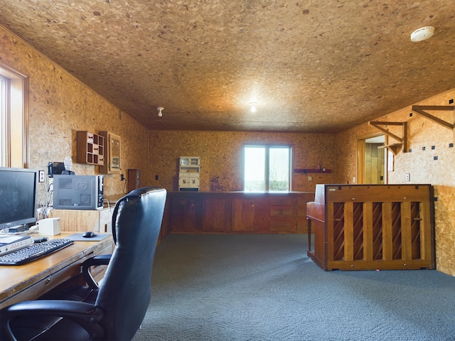 carpeted office space with wood walls