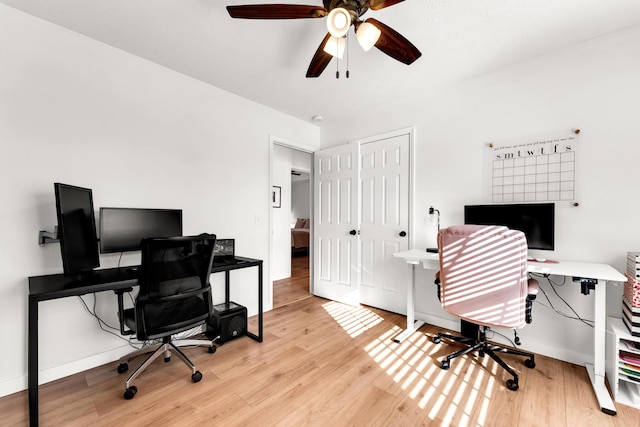 home office featuring ceiling fan and light wood-type flooring