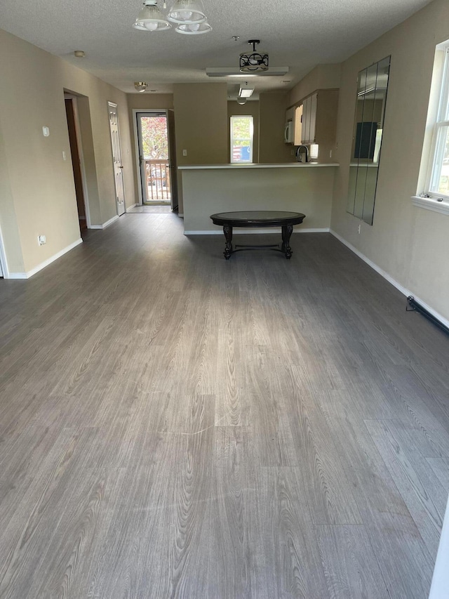 2529 State Highway 176 Unit 5, Rockaway Beach, MO 65740 - rec room featuring wood finished floors and a textured ceiling