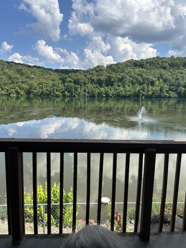 2529 State Highway 176 Unit 5, Rockaway Beach, MO 65740 - water view featuring a heavily wooded area