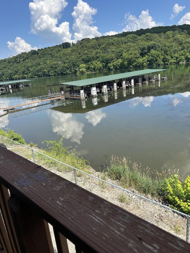 2529 State Highway 176 Unit 5, Rockaway Beach, MO 65740 - water view with a forest and a boat dock