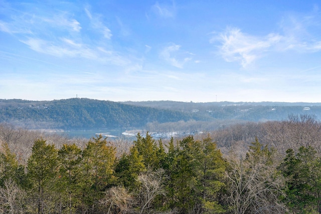 property view of mountains