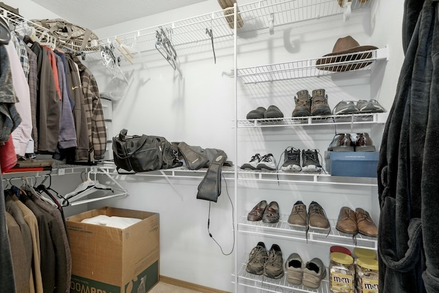 view of spacious closet