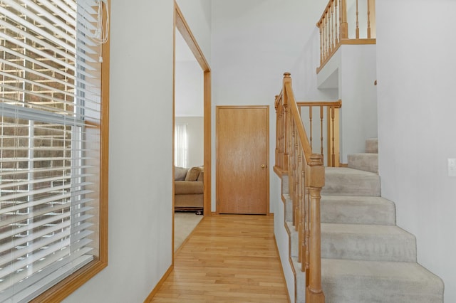 stairway with wood-type flooring and a wealth of natural light