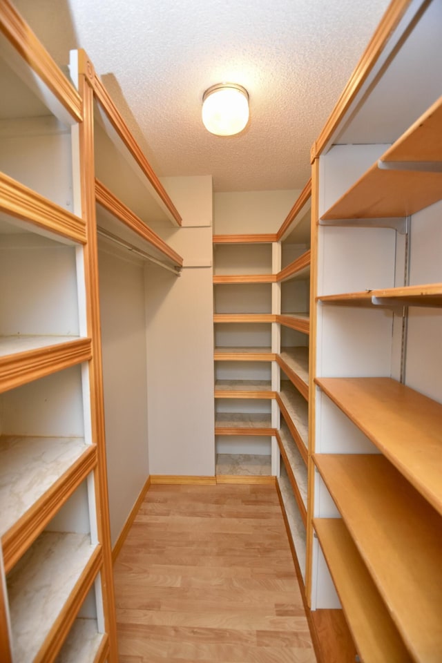 walk in closet with light wood-type flooring