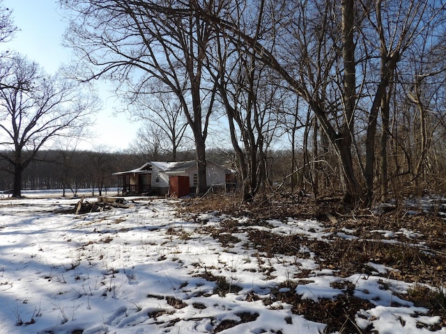 view of yard covered in snow