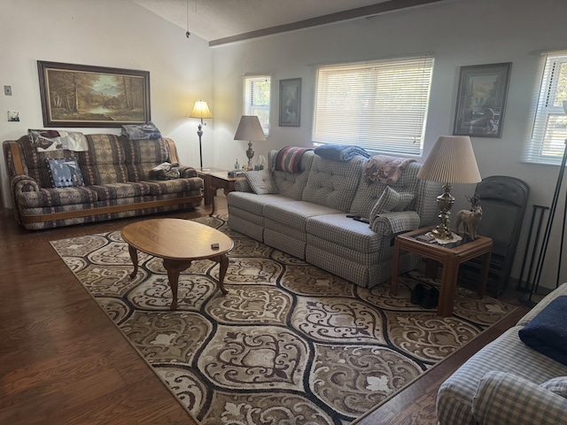 living room featuring dark hardwood / wood-style floors and lofted ceiling