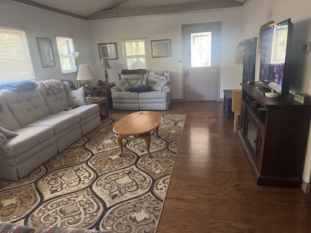 living room featuring vaulted ceiling and dark hardwood / wood-style floors