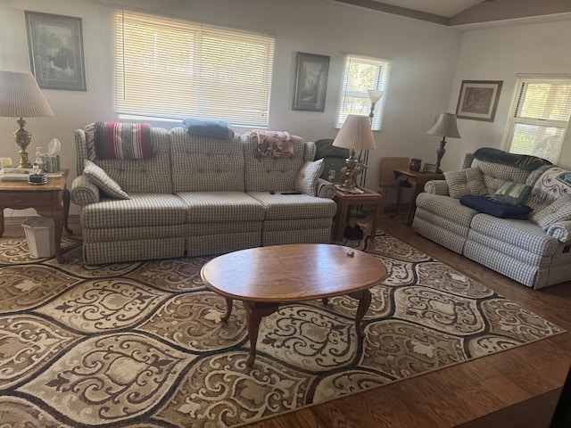 living room with wood-type flooring and a wealth of natural light