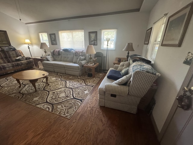 living room with dark wood-type flooring