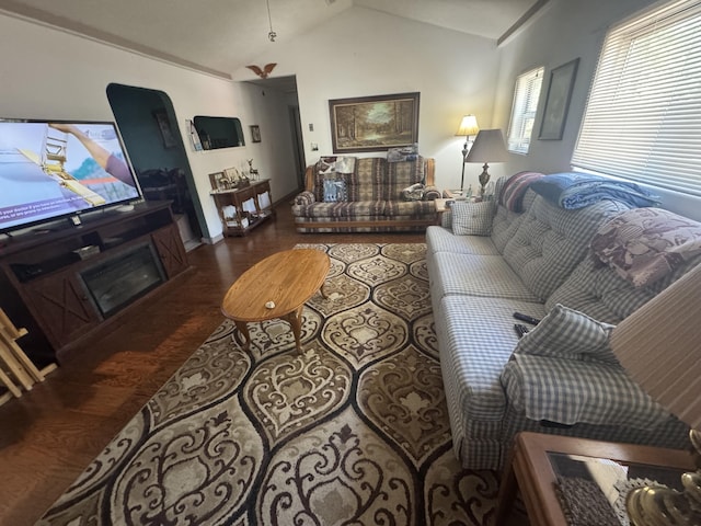 living room featuring dark hardwood / wood-style flooring and lofted ceiling