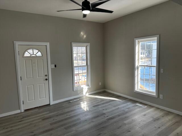 foyer featuring ceiling fan, a healthy amount of sunlight, and hardwood / wood-style flooring