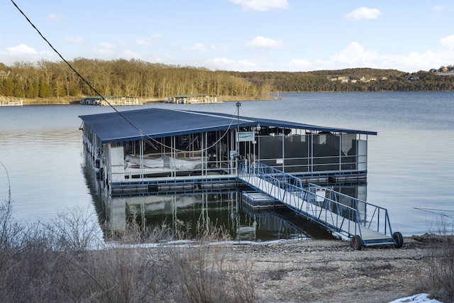 dock area with a water view