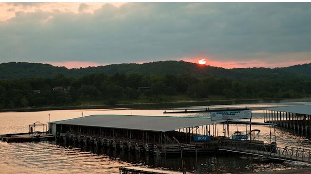 view of dock featuring a water view and a view of trees