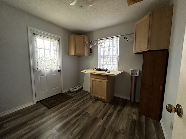 kitchen with light brown cabinetry, dark hardwood / wood-style flooring, and a healthy amount of sunlight