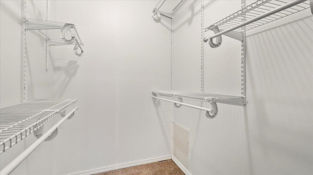 1933 Lynn Dr, West Plains, MO 65775 - walk in closet with carpet floors
