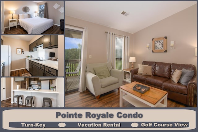 158 Troon Dr Unit 20, Branson, MO 65616 - living room featuring dark wood-type flooring and lofted ceiling