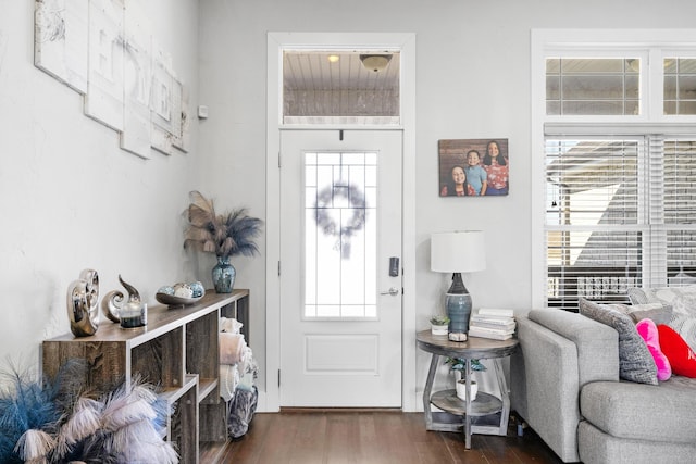 foyer featuring dark wood-type flooring and plenty of natural light