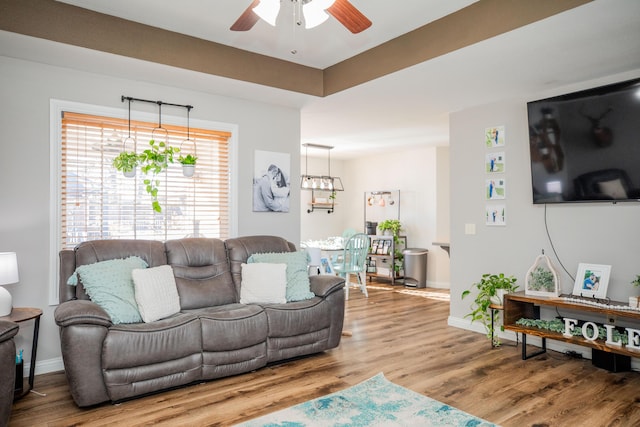 living room with ceiling fan and hardwood / wood-style floors