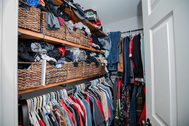 view of spacious closet