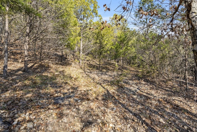 LOTS4 Elm Dr, Kimberling City, MO 65686 - photo 16