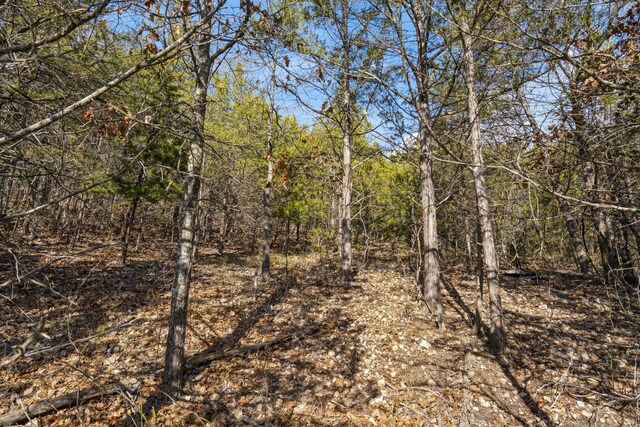 LOTS4 Elm Dr, Kimberling City, MO 65686 - photo 14