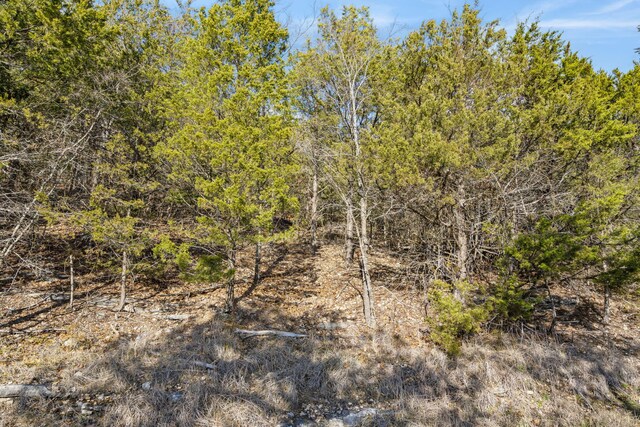 LOTS4 Elm Dr, Kimberling City, MO 65686 - photo 17