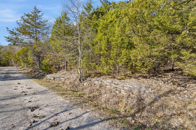 LOTS4 Elm Dr, Kimberling City, MO 65686 - photo 12