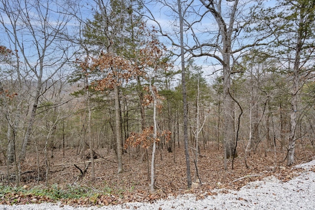 Listing photo 3 for LOT10 Greenbrier Dr, Kimberling City MO 65686