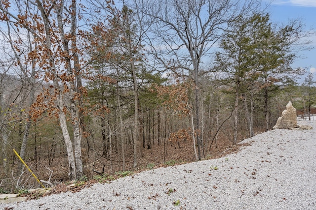 Listing photo 2 for LOT10 Greenbrier Dr, Kimberling City MO 65686