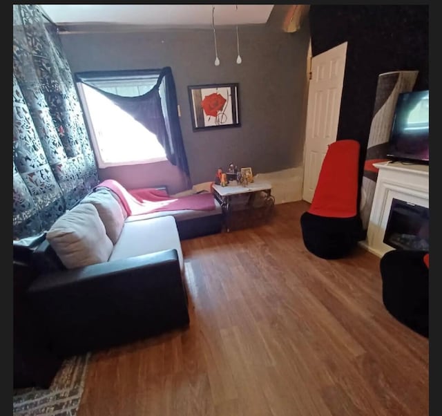 389 Osage Ln, Pineville, MO 64856 - living room featuring a glass covered fireplace and wood finished floors
