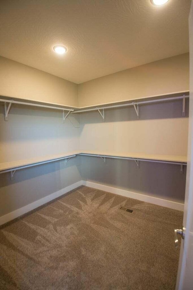 walk in closet with carpet flooring