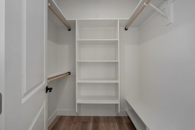 spacious closet with hardwood / wood-style flooring